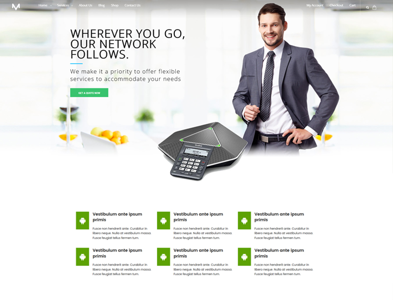 Consulting theme online shop