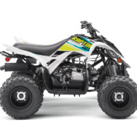 RAPTOR 700 - Image 2