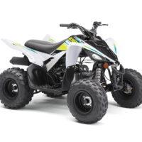 RAPTOR 700