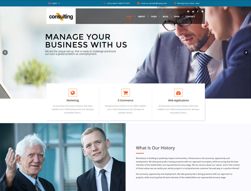 Consulting theme financial consulting